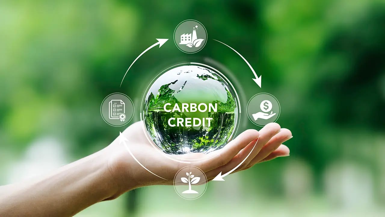 Carbon Credit and Emission Reduction Projects