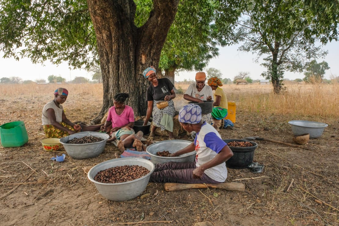 Sustainable Agribusiness